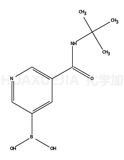 5-(叔丁基氨甲酰基)吡啶-3-硼酸