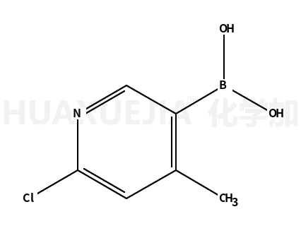 2-氯-4-甲基吡啶-5-硼酸