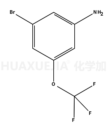 3-溴-5-(三氟甲氧基)苯胺