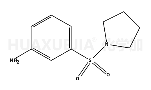 3-(1-吡咯基磺酰)苯胺