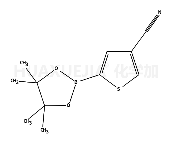 4-氰基噻吩-2-硼酸频那醇酯
