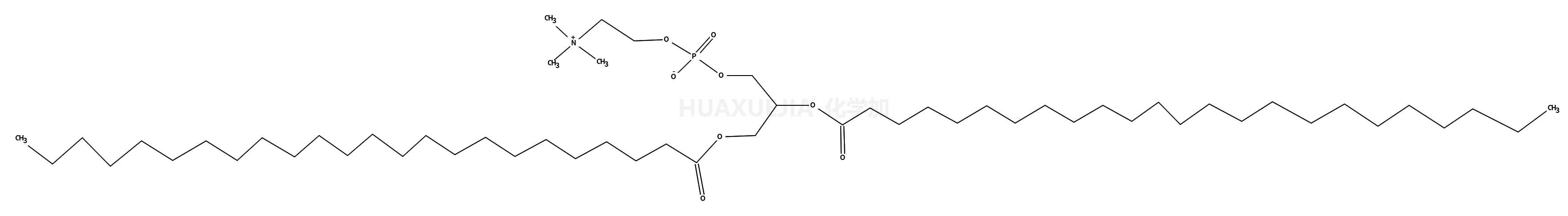 1,2-dilignoceroyl-sn-glycero-3-phosphocholine