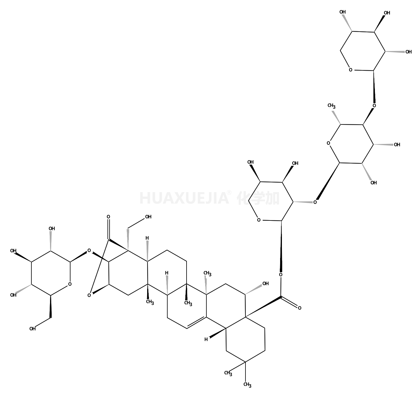 Platycoside M3