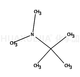 叔丁基二甲胺