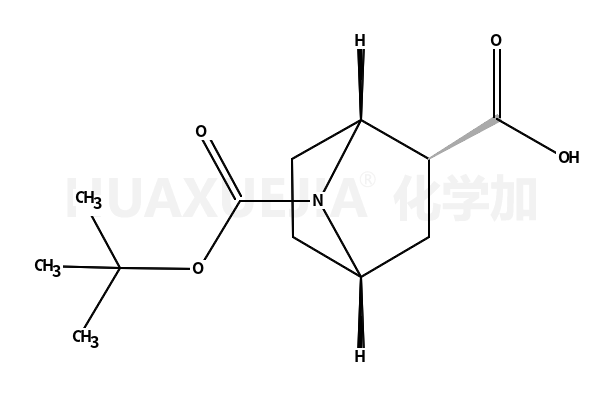 2S-7-氮杂双环[2.2.1]庚烷-2,7-二羧酸 7-叔丁酯