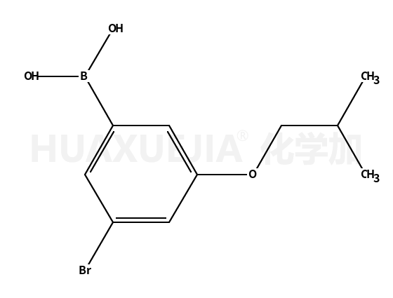 3-溴-5-异丁氧基苯硼酸