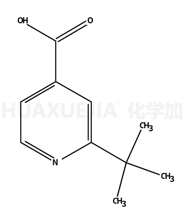 2-(叔丁基)异烟酸