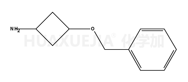 3-苄氧基-环丁基胺
