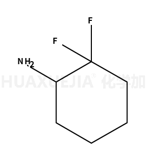 2,2-二氟环己胺
