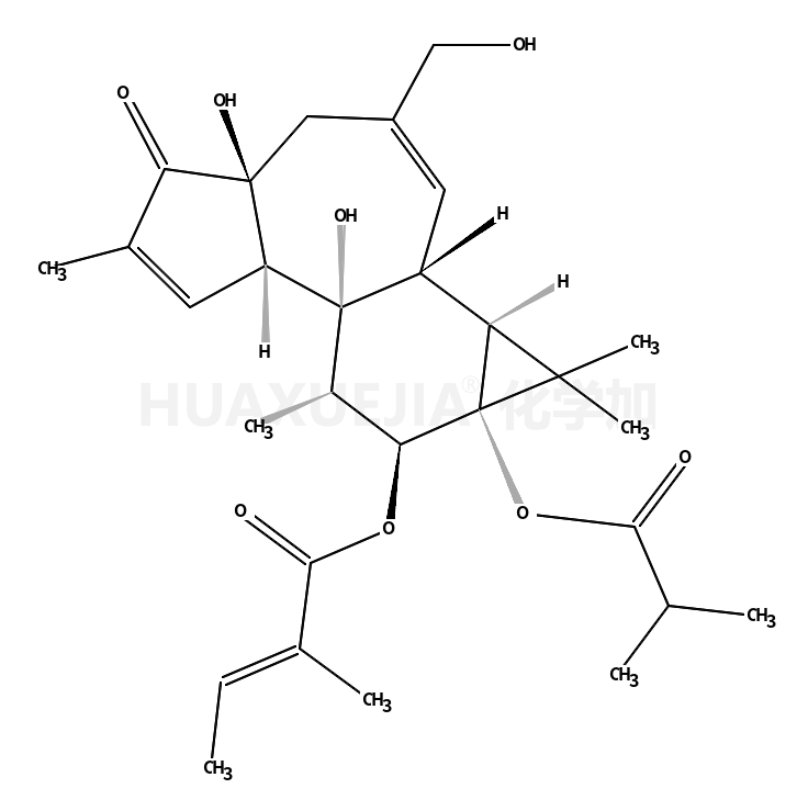 伏波酯-12-惕各酸酯-13-异丁酸酯