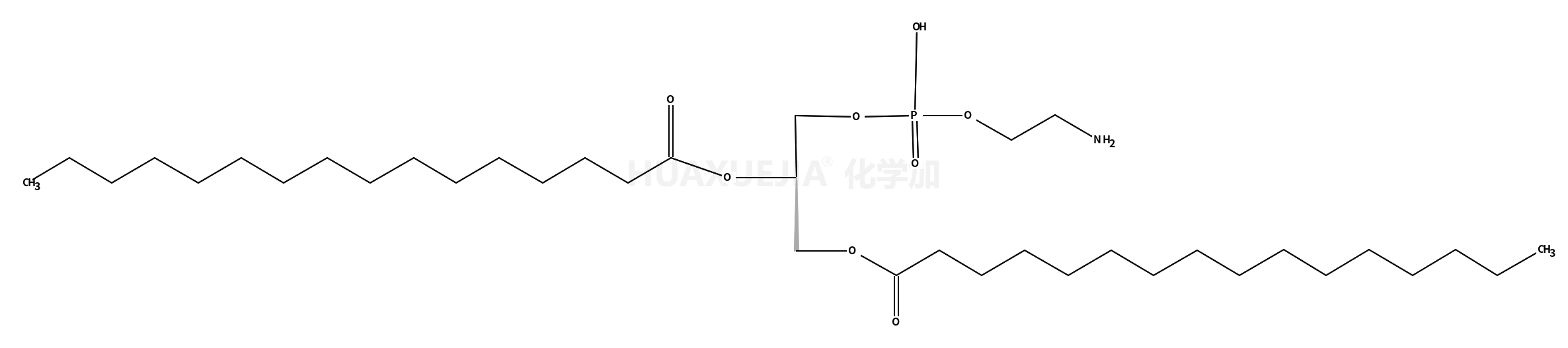 L-磷脂酰乙醇胺