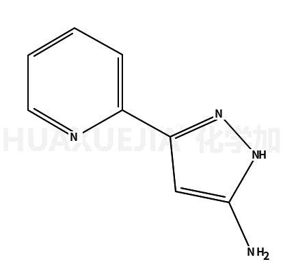 5-吡啶-2-基-2H-吡唑-3-胺