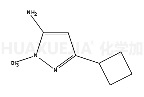 5-环丁基-2-甲基-2H-吡唑-3-胺