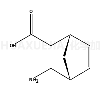 3-外双环氨基[2.2.1]-5-嗯-2-外羧基酸
