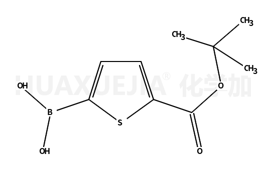 5-叔丁氧基羰基噻吩-2-硼酸