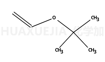 叔丁基乙烯基醚