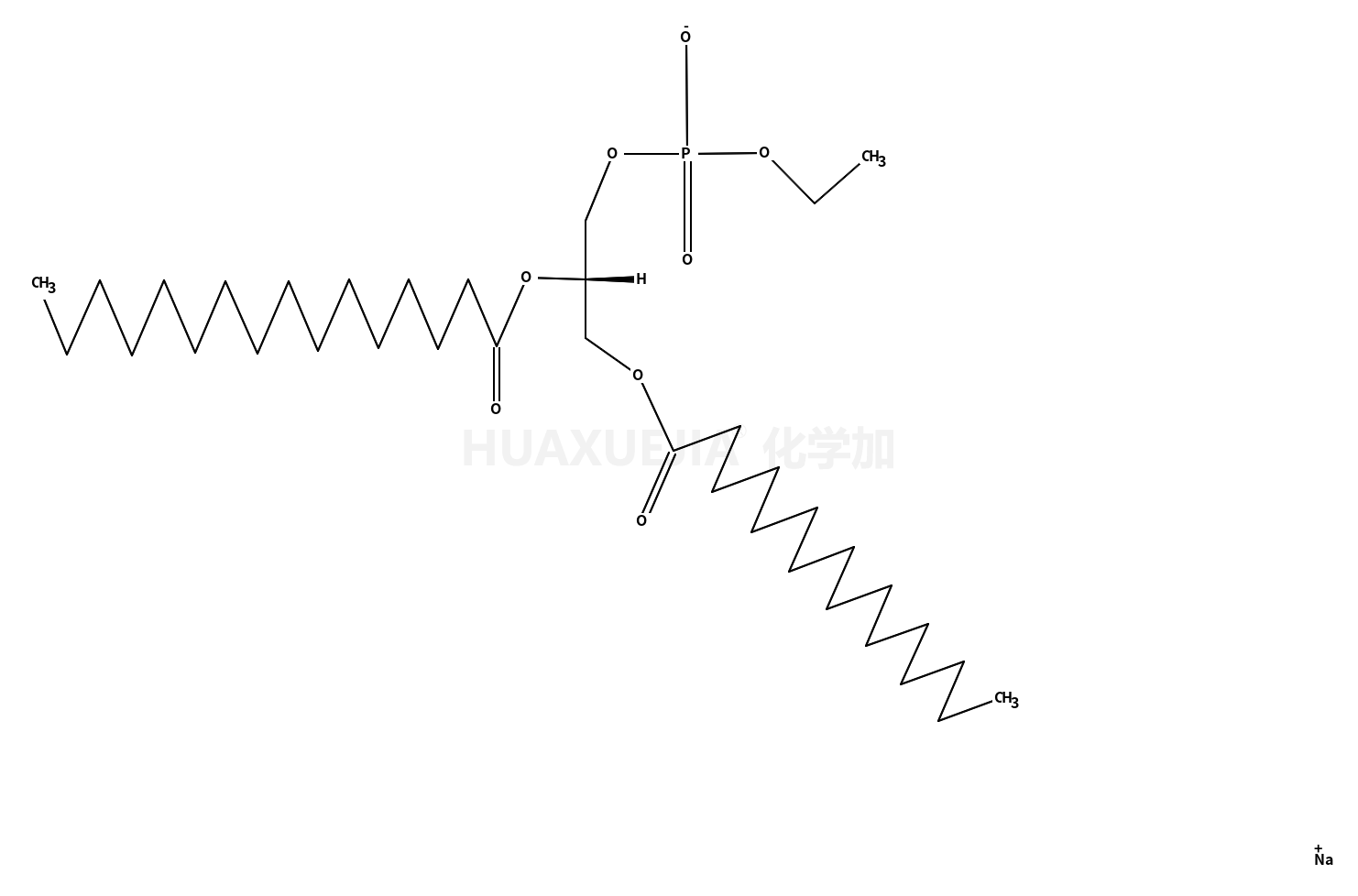 1,2-dipalmitoyl-sn-glycero-3-phosphoethanol (sodium salt)