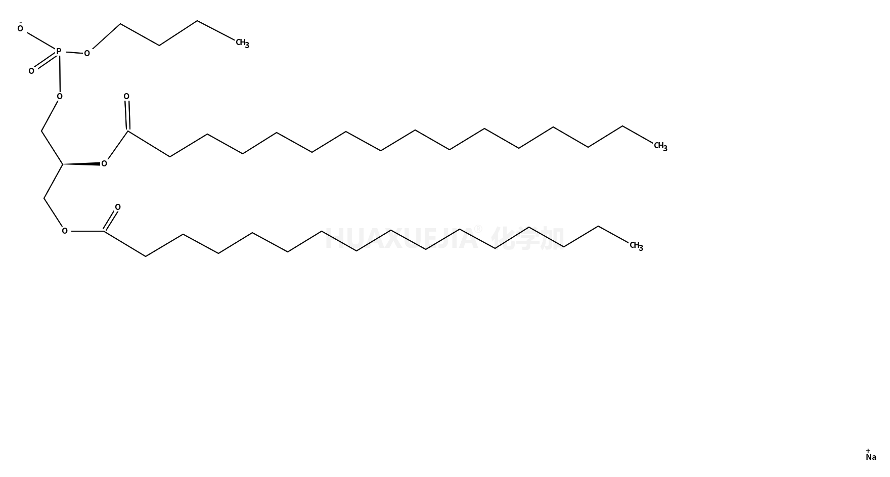 1,2-dipalmitoyl-sn-glycero-3-phosphobutanol (sodium salt)