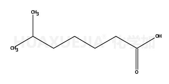 6-甲基庚酸