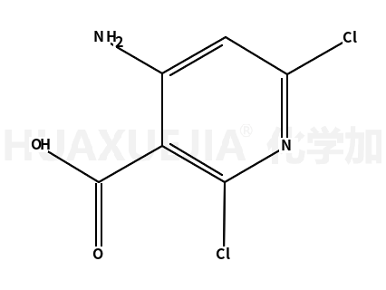 4-氨基-2,6-二氯烟酸