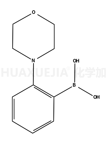 2-吗啉苯硼酸