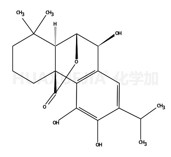 表-迷迭香酚