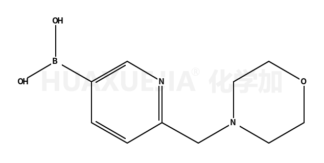 6-(嗎啉甲氧基)吡啶-3-基硼酸