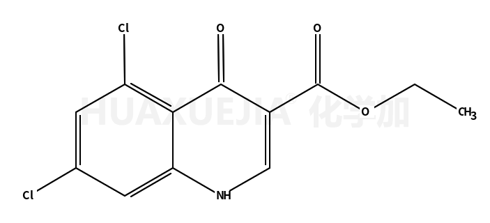 5,7-二氯-4-羟基喹啉-3-羧酸乙酯