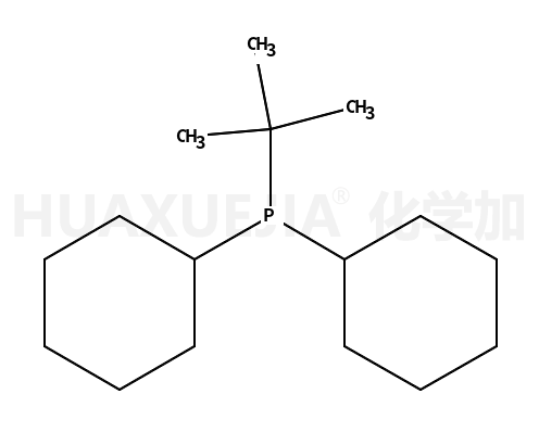 叔丁基二环己基膦