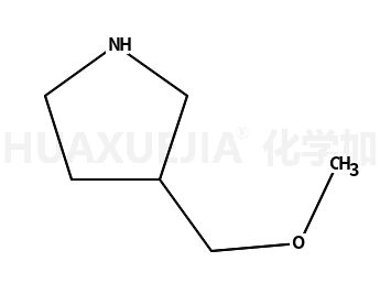3-(甲氧基甲基)吡咯烷盐酸盐
