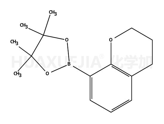 8-(4,4,5,5-四甲基-[1,3,2]二噁硼烷-2-基)苯并二氢吡喃