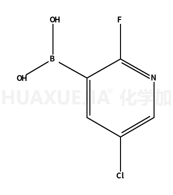 5-氯-2-氟吡啶-3-硼酸