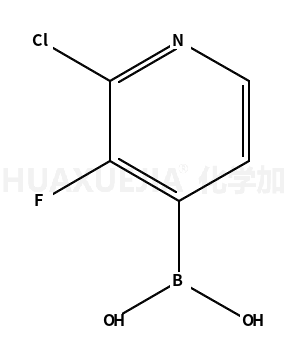 2-氯-3-氟吡啶-4-硼酸