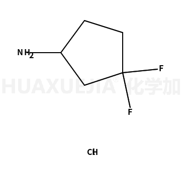 3,3-二氟-1-环戊胺