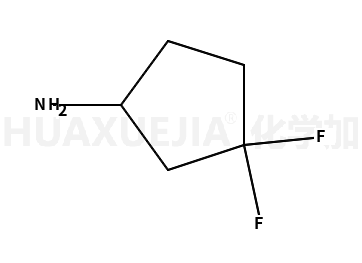 3,3-二氟環(huán)戊胺