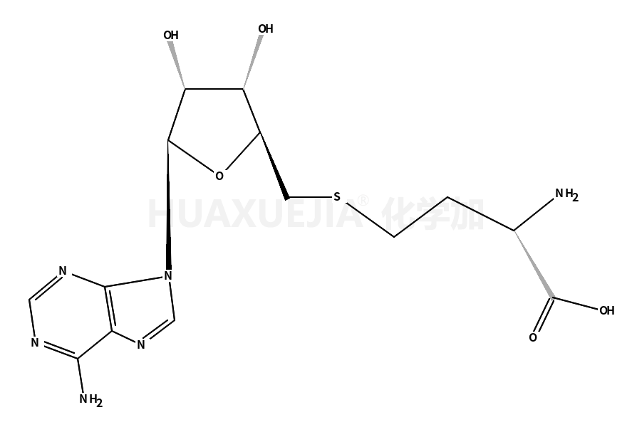 S-腺苷-L-高半胱氨酸