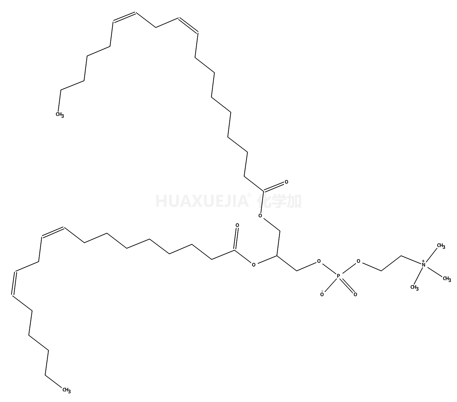 1,2-dilinoleoyl-sn-glycero-3-phosphocholine